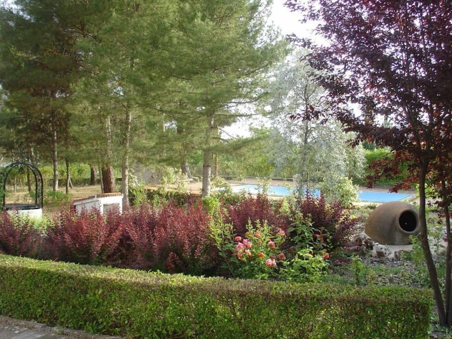Villa Antares Para 2 A 10 Personas En Renera 外观 照片